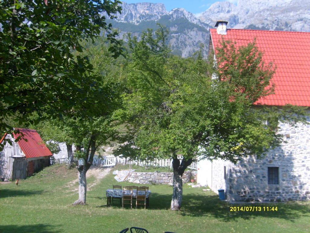 Guesthouse Dritan Tethorja Theth Exterior photo