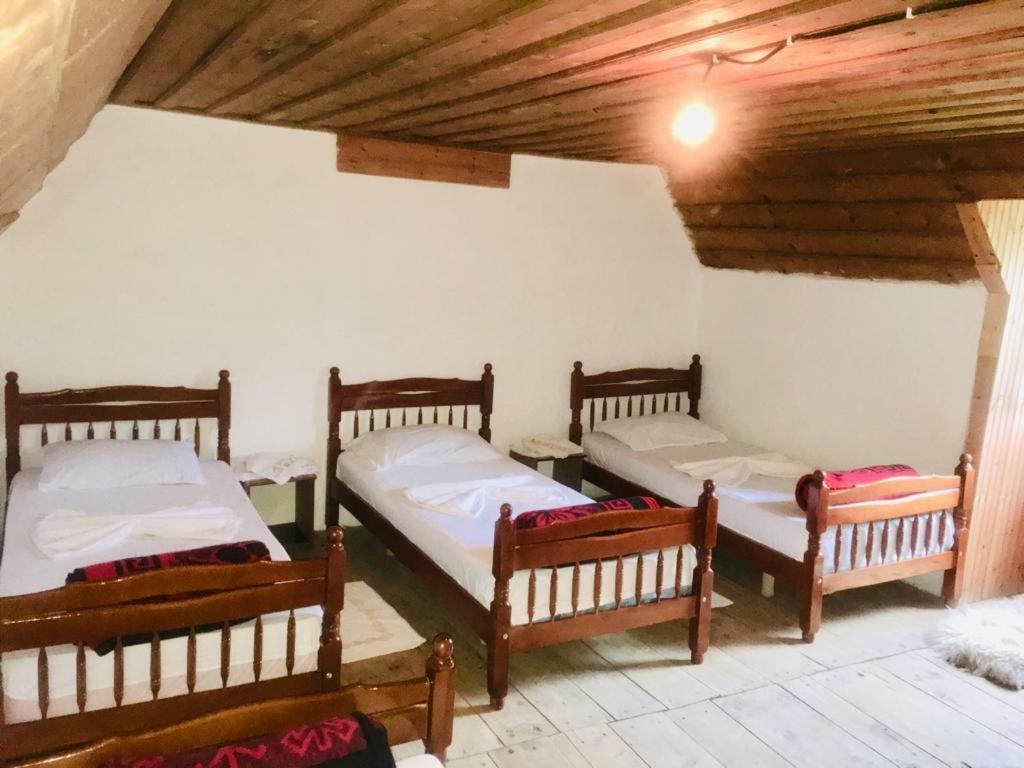 Guesthouse Dritan Tethorja Theth Exterior photo